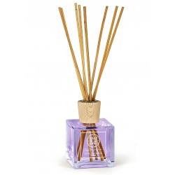 Gaudeas parfumes - ručné výrábane parfémy  - Vôňa VIOLET - aróma difúzer - 100ml