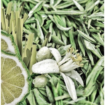 Luminia sviečky - Sviečka Bergamot & Sencha 90g - krištáľové viečko