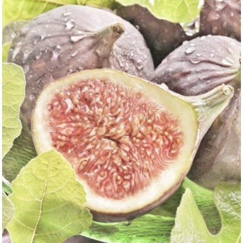 Luminia sviečky -Sviečka Fig Mediterranean 260g - krištáľové viečko