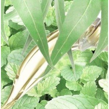 Luminia sviečky - Sviečka Fresh Mint & Eucalyptus 90g - krištáľové viečko