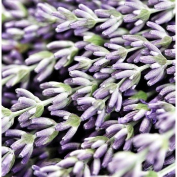 Luminia sviečky - Sviečka Lavender & Iris 90g - krištáľové viečko