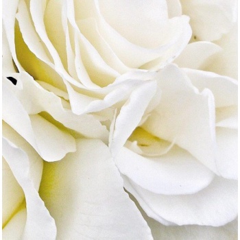 Luminia sviečky - Sviečka Rose Royal 260 g - krištáľové viečko